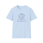 It Is What It Is T-Shirt