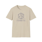 It Is What It Is T-Shirt